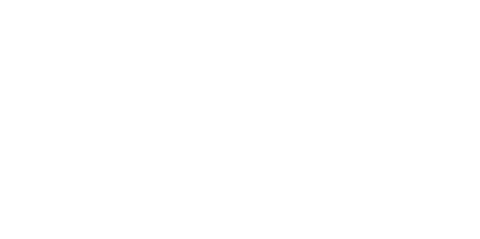 AESS White Logo