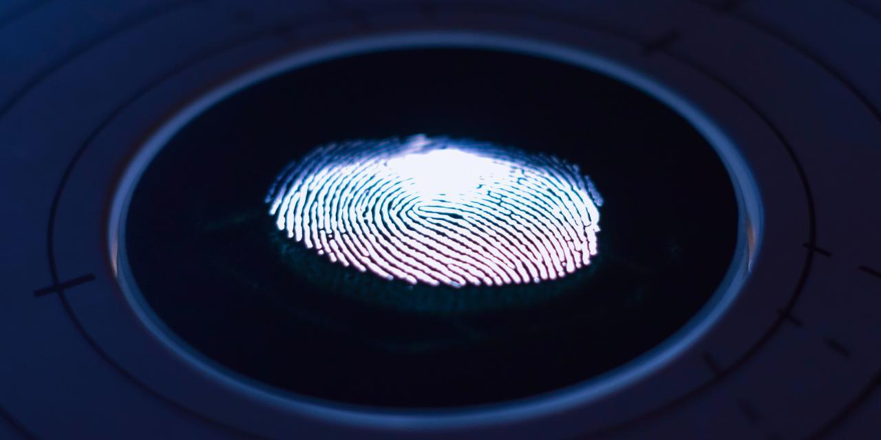 fingerprint