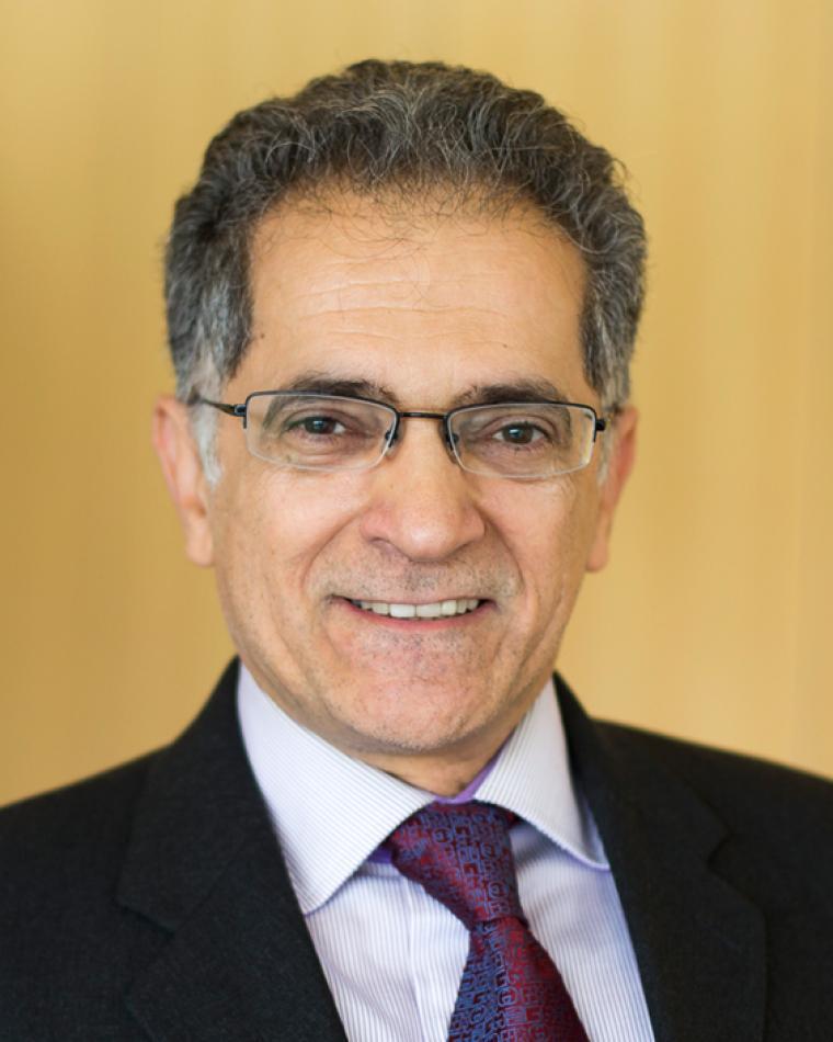Kamal Sarabandi