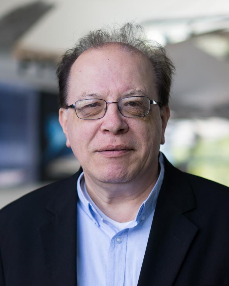 Henk Blom